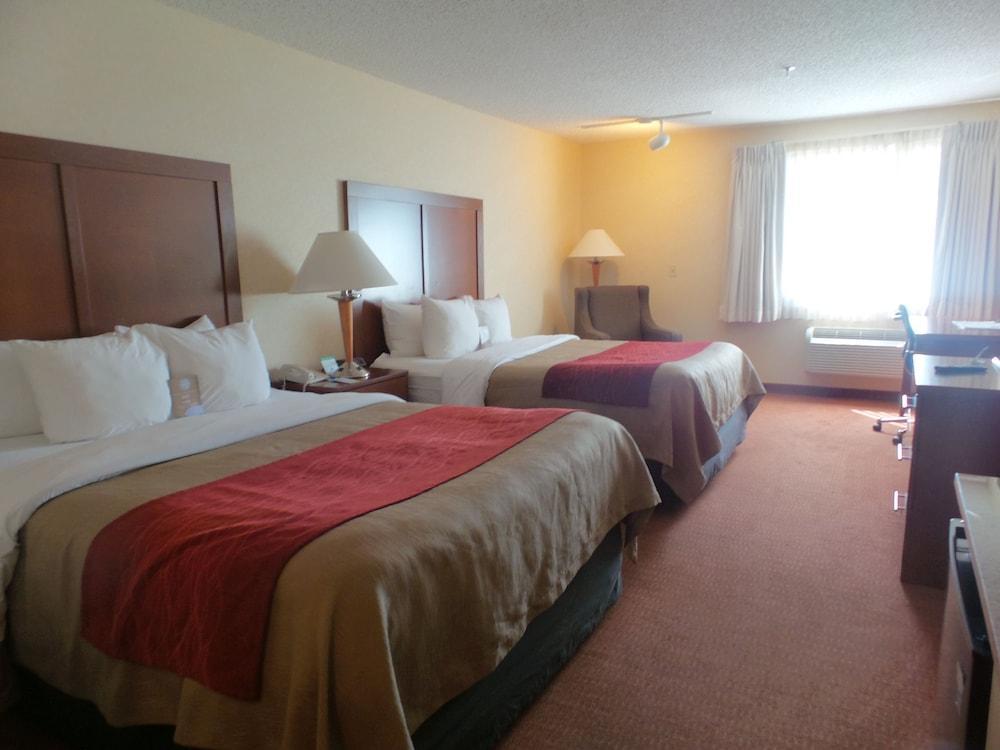 אורורה Comfort Inn Denver Southeast Area מראה חיצוני תמונה