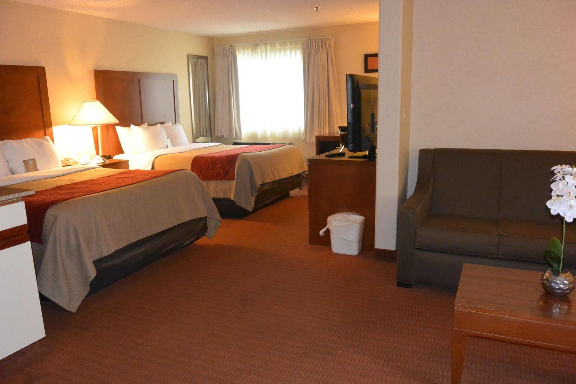 אורורה Comfort Inn Denver Southeast Area מראה חיצוני תמונה